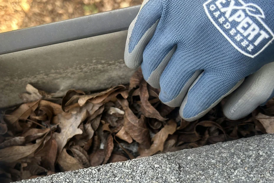 South Milwaukee Gutter Cleaning