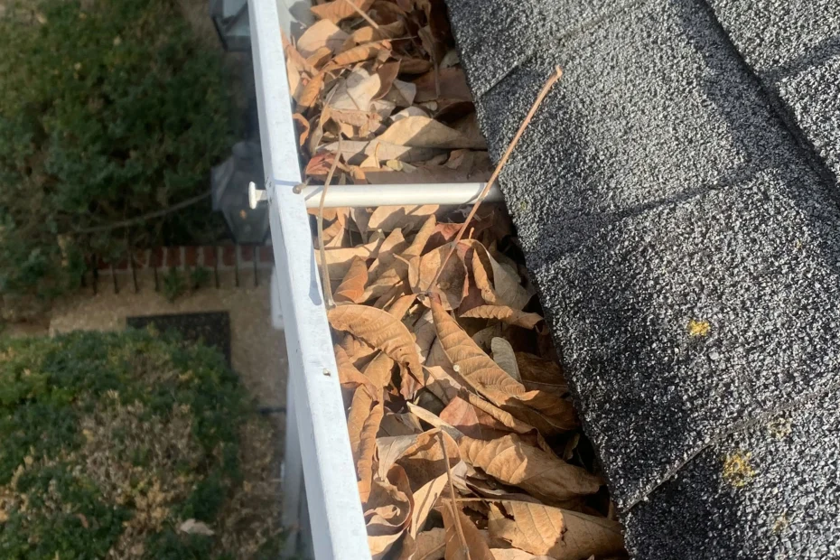 South Milwaukee Gutter Cleaning